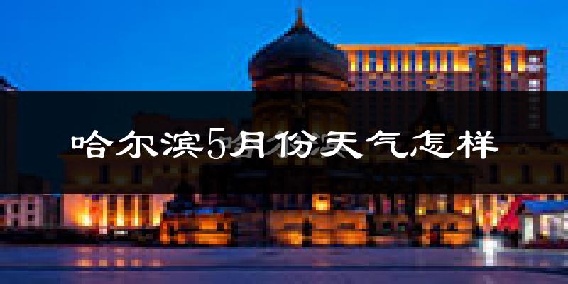 哈尔滨5月份天气如何?很冷还是很热?