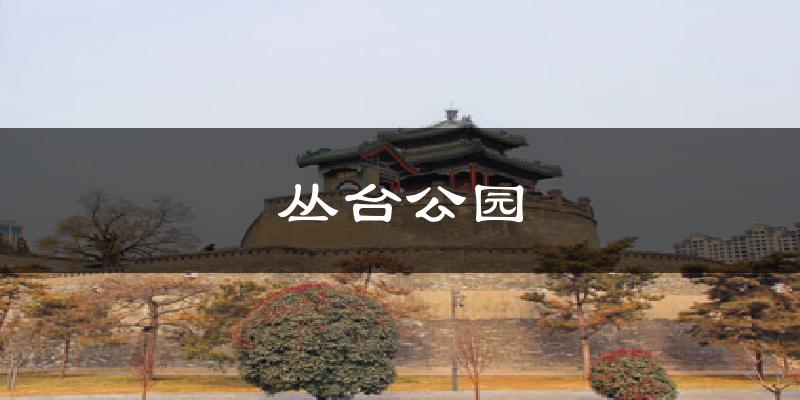 丛台公园天气预报十五天