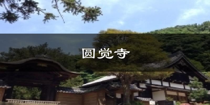 圆觉寺天气预报十五天