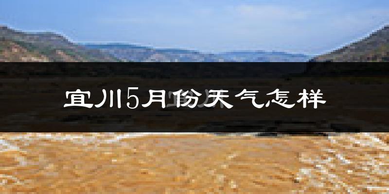 宜川县5月份天气如何?很热吗?
