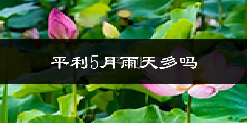 平利5月雨天多吗?