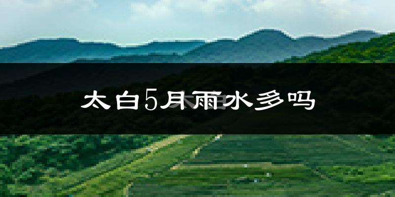 太白5月雨水多吗?