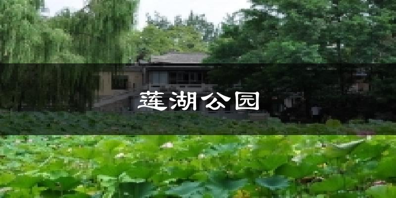 莲湖公园天气预报十五天