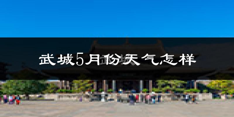 武城县5月份天气如何?很热吗?
