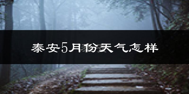 泰安5月天气怎么样?热不热?