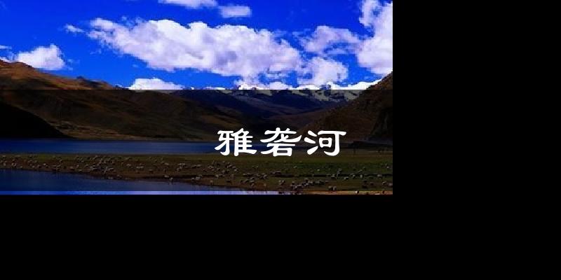 雅砻河天气预报十五天