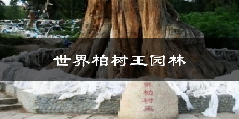 世界柏树王园林天气预报十五天