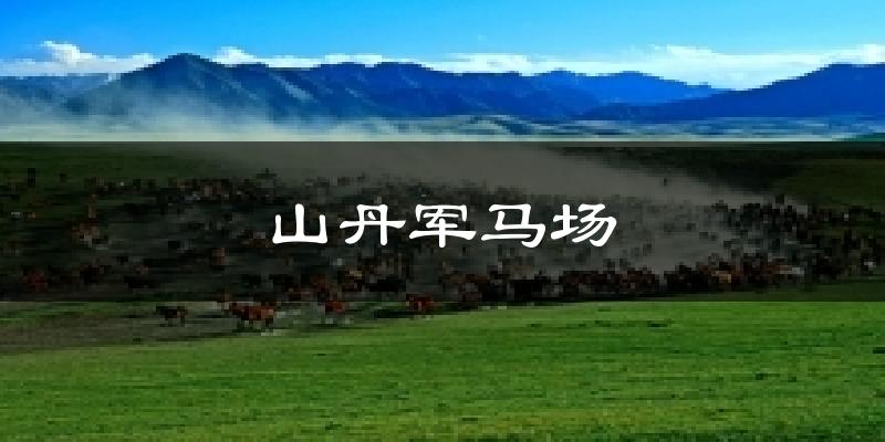 山丹军马场天气预报十五天