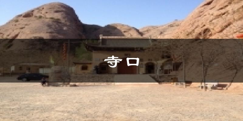 寺口天气预报十五天