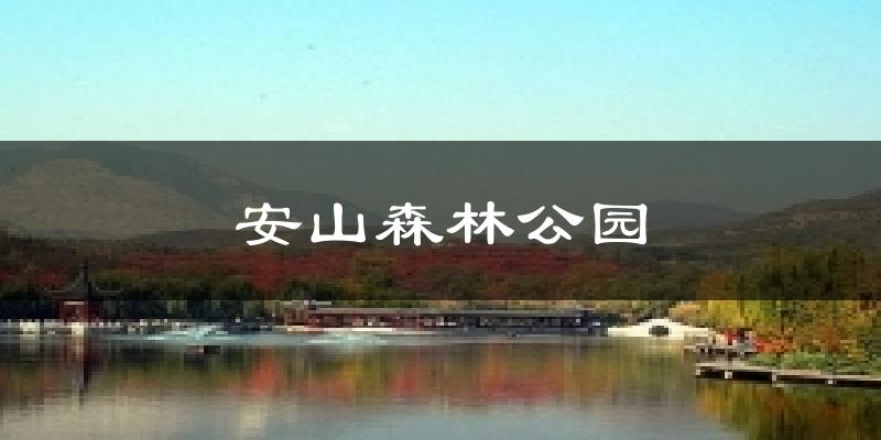安山森林公园天气预报十五天