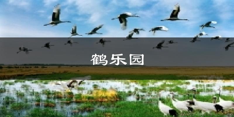 鹤乐园天气预报十五天