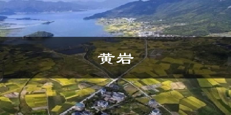 黄岩天气预报十五天