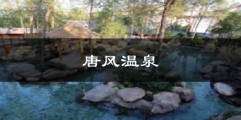 唐风温泉天气预报十五天