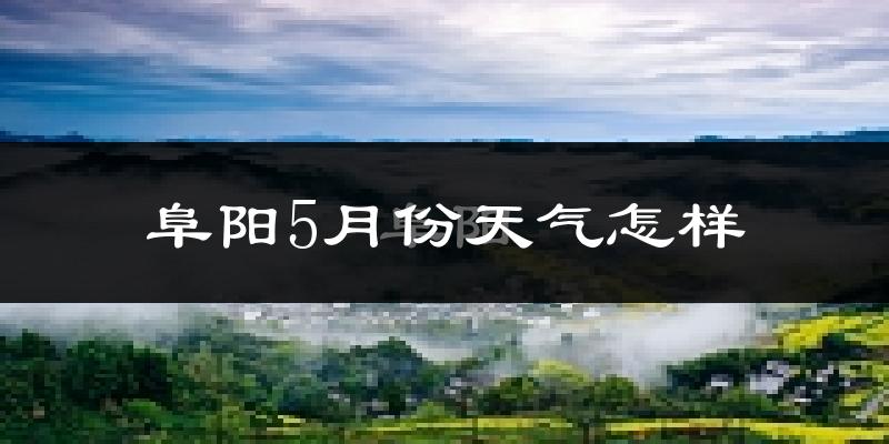阜阳5月份天气如何?很热吗?