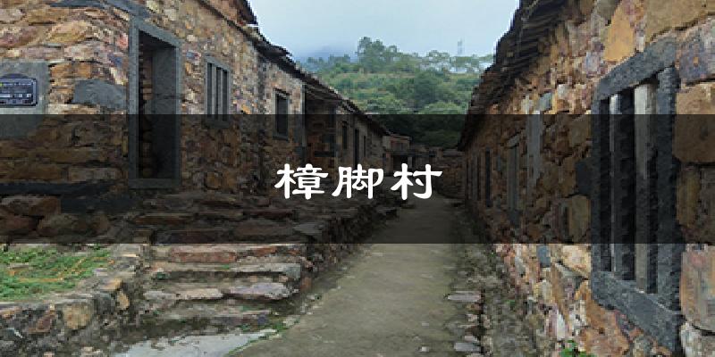 樟脚村天气预报十五天