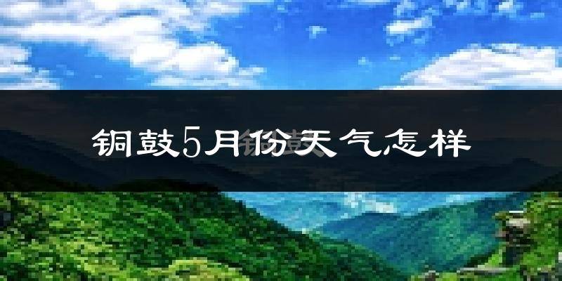 铜鼓县5月份天气如何?很热吗?