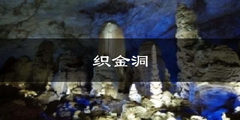 织金洞天气预报十五天