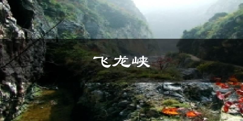 飞龙峡天气预报十五天