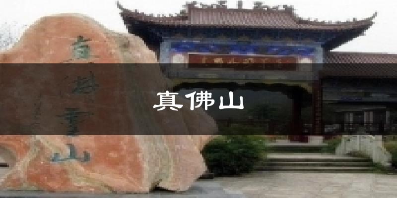 真佛山天气预报十五天