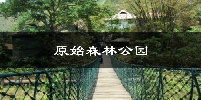 原始森林公园天气预报十五天