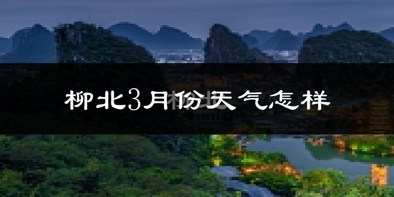 柳北3月份天气怎样?柳北三月冷不冷?