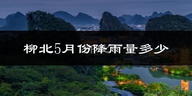 柳北5月份降雨量多少?柳北五月下雨多吗?