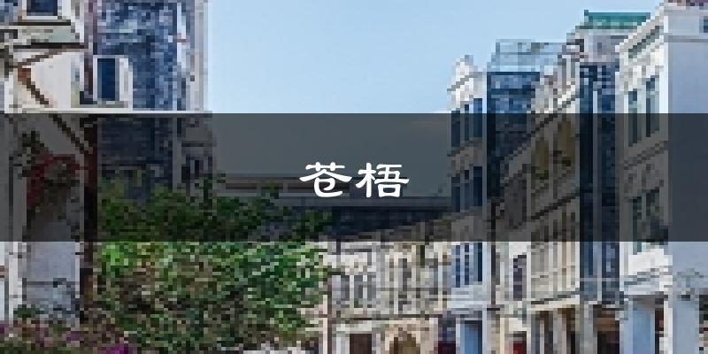 苍梧天气预报未来一周