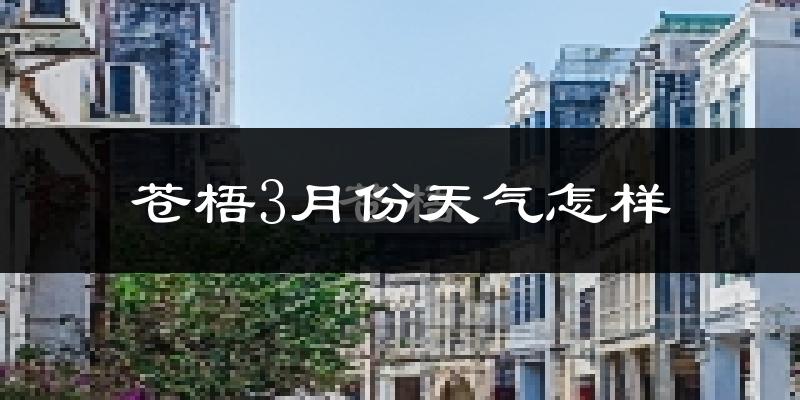 苍梧县3月份天气如何?冷热情况怎么样?