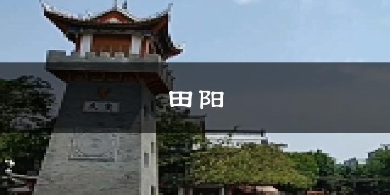 田阳天气预报未来一周