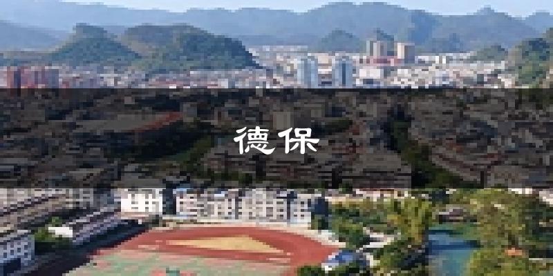 德保天气预报未来一周