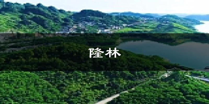 隆林天气预报未来一周
