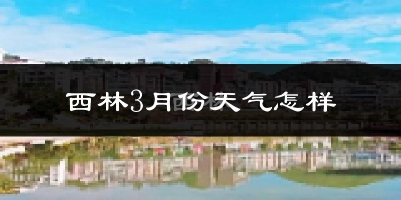 西林县3月份天气如何?冷热情况怎么样?