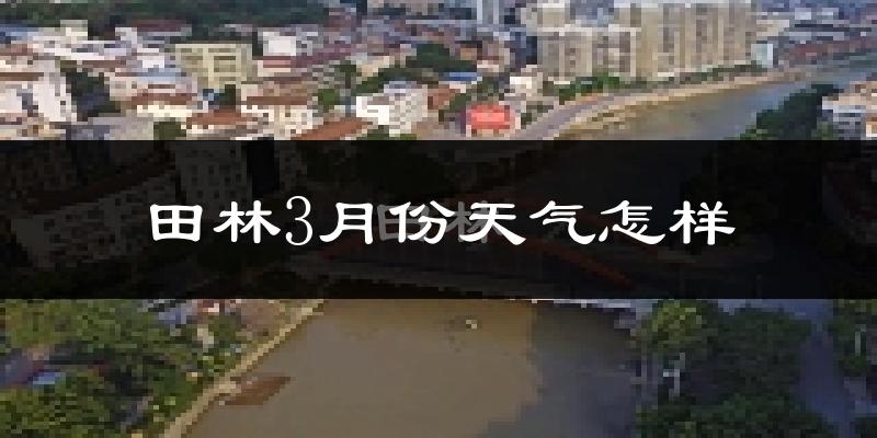 田林县3月份天气如何?冷热情况怎么样?