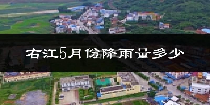 右江5月份降雨量多少?右江五月下雨多吗?
