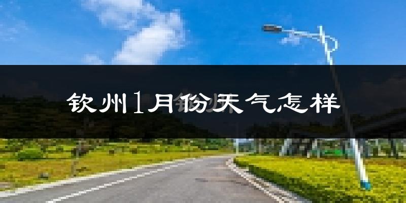 钦州1月份天气如何?冷吗?过去两年1月天气数据分析