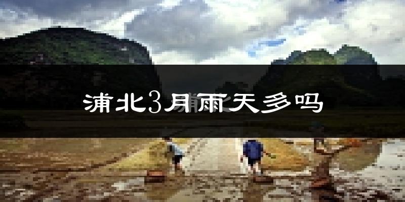 浦北3月雨天多吗?