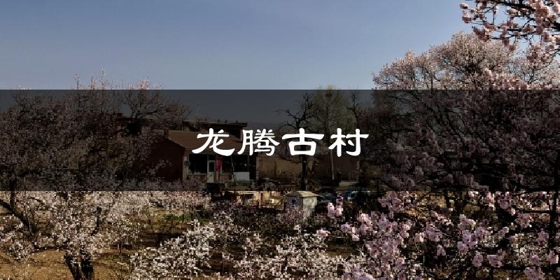龙腾古村今日天气