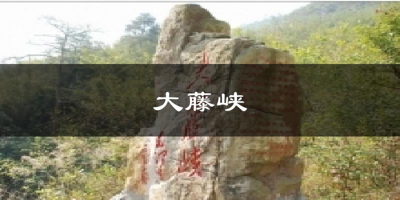 大藤峡今日天气