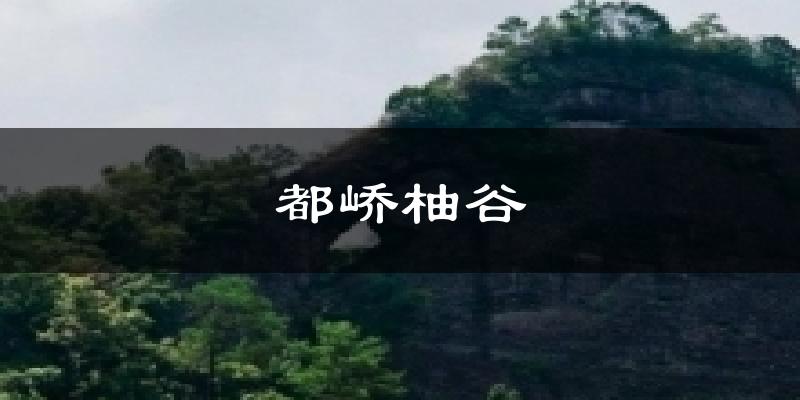 都峤柚谷气温