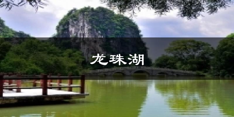 龙珠湖今日天气