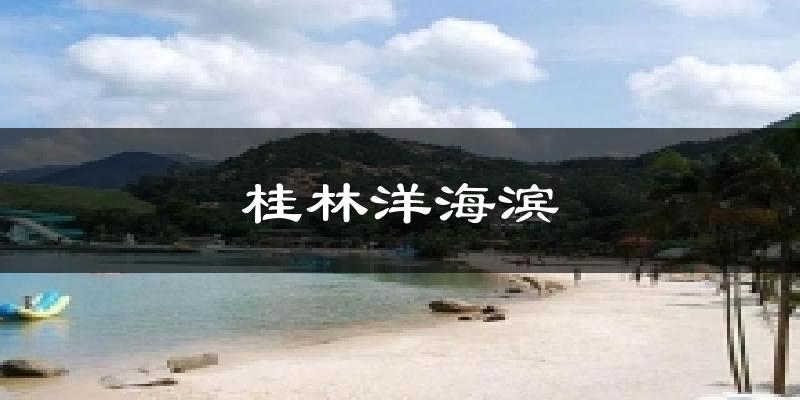 桂林洋海滨天气预报十五天