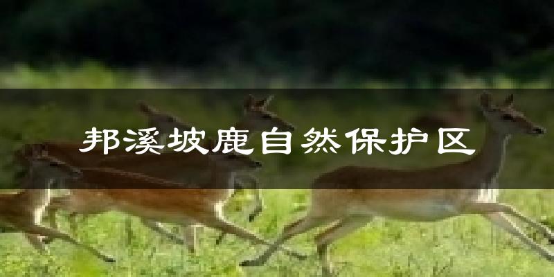 邦溪坡鹿自然保护区天气预报十五天