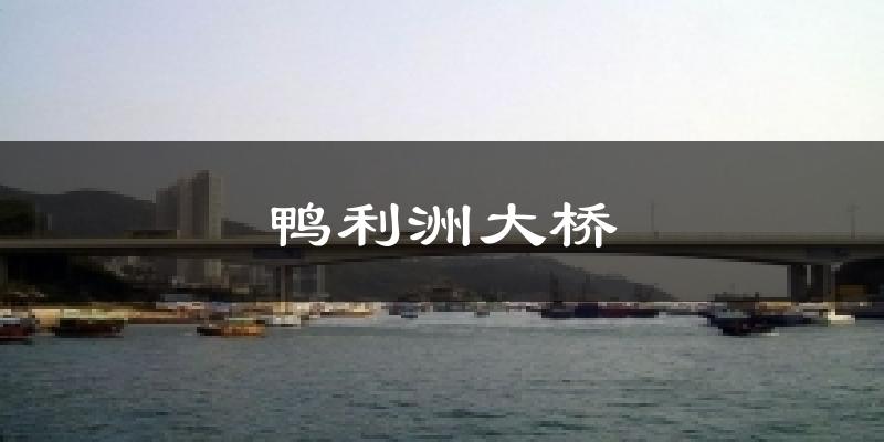 鸭利洲大桥天气预报十五天